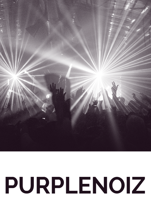 Purplenoiz website